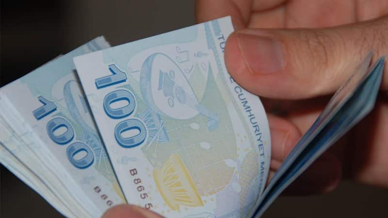 Yeni 100 Liralar Tedavüle Çıkacak