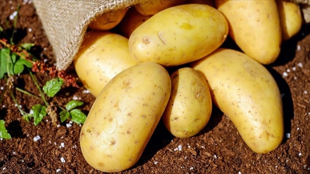 Patates İthalatı Gözetim Altında