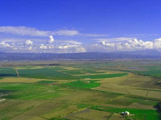 Söke Ovası’nda Ekim Alanı 2 Kat Arttı