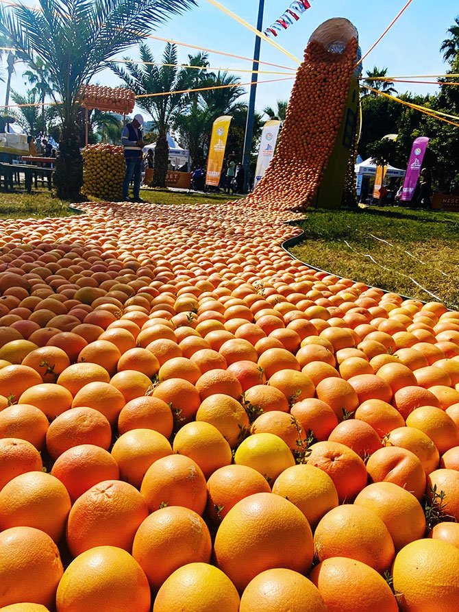 Akdeniz’den 253 Milyon Dolarlık Turunçgil İhracatı