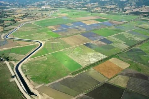 İlk Yarıda 182 Bin Tarla, 154 Bin Arsa Satıldı