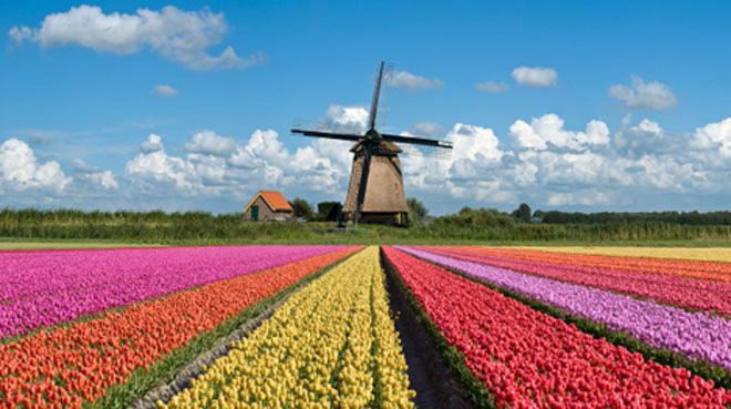 Netherlands Economy Shrinks 8.5 Percent