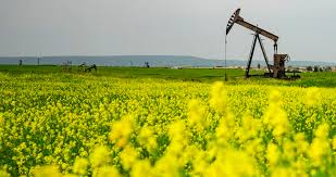 WTI zeigt eine entscheidende Erholung, nachdem es unter 42 USD gefallen ist