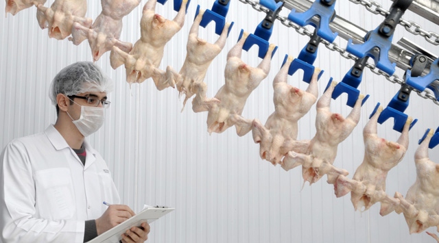Turkish Company Entering Chinese Market With Chicken Feet Raised Target