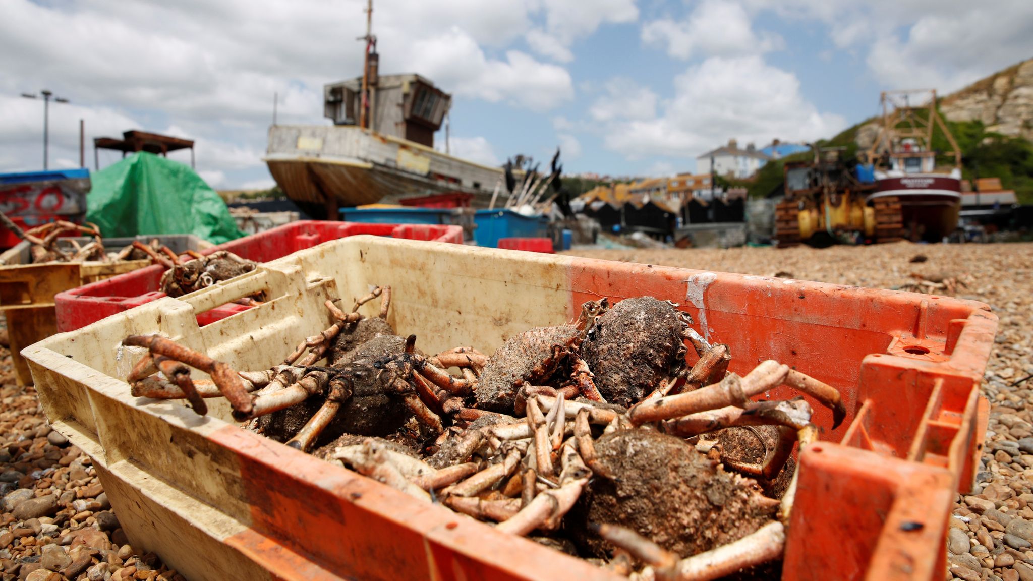 British fishermen are fighting for customers, renaming two species