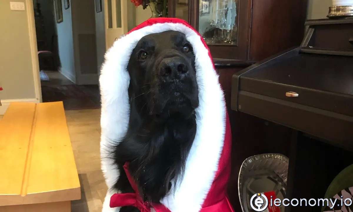 İngiliz şehri Bristol'den bir adam ilginç bir vakayla uğraşıyor