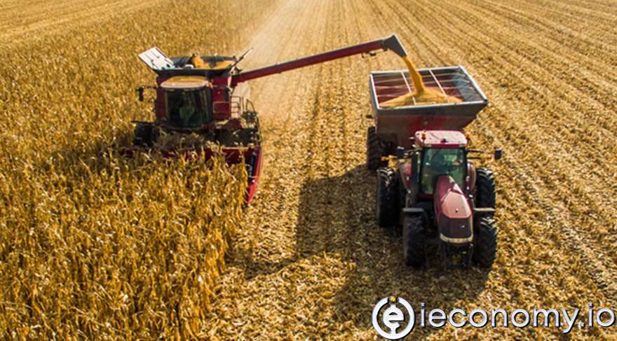 Tarımda Üretici Fiyatları Mayısta Yükseldi