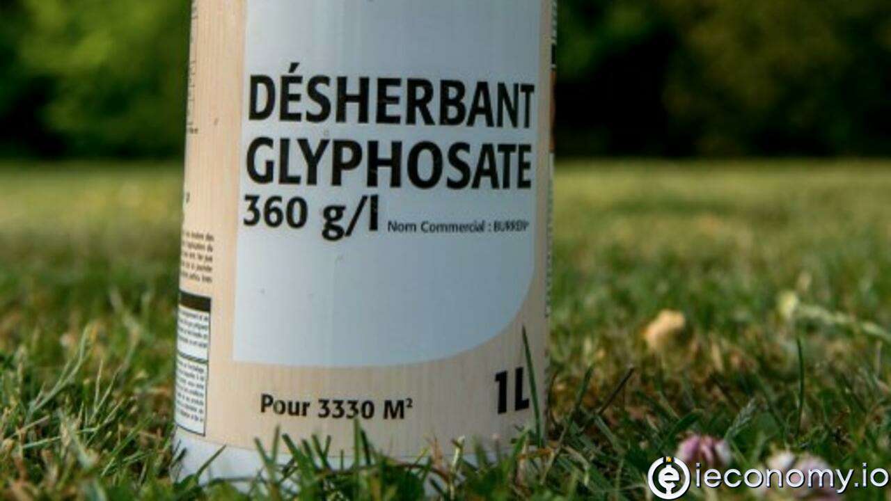 Özel kullanıcıların yakında glifosatı kullanmasına izin verilmeyecek
