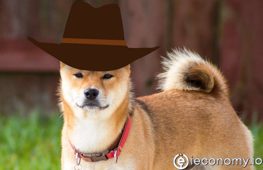 Dogecoin Klonu Meme Coin Sıçrama Yaptı!