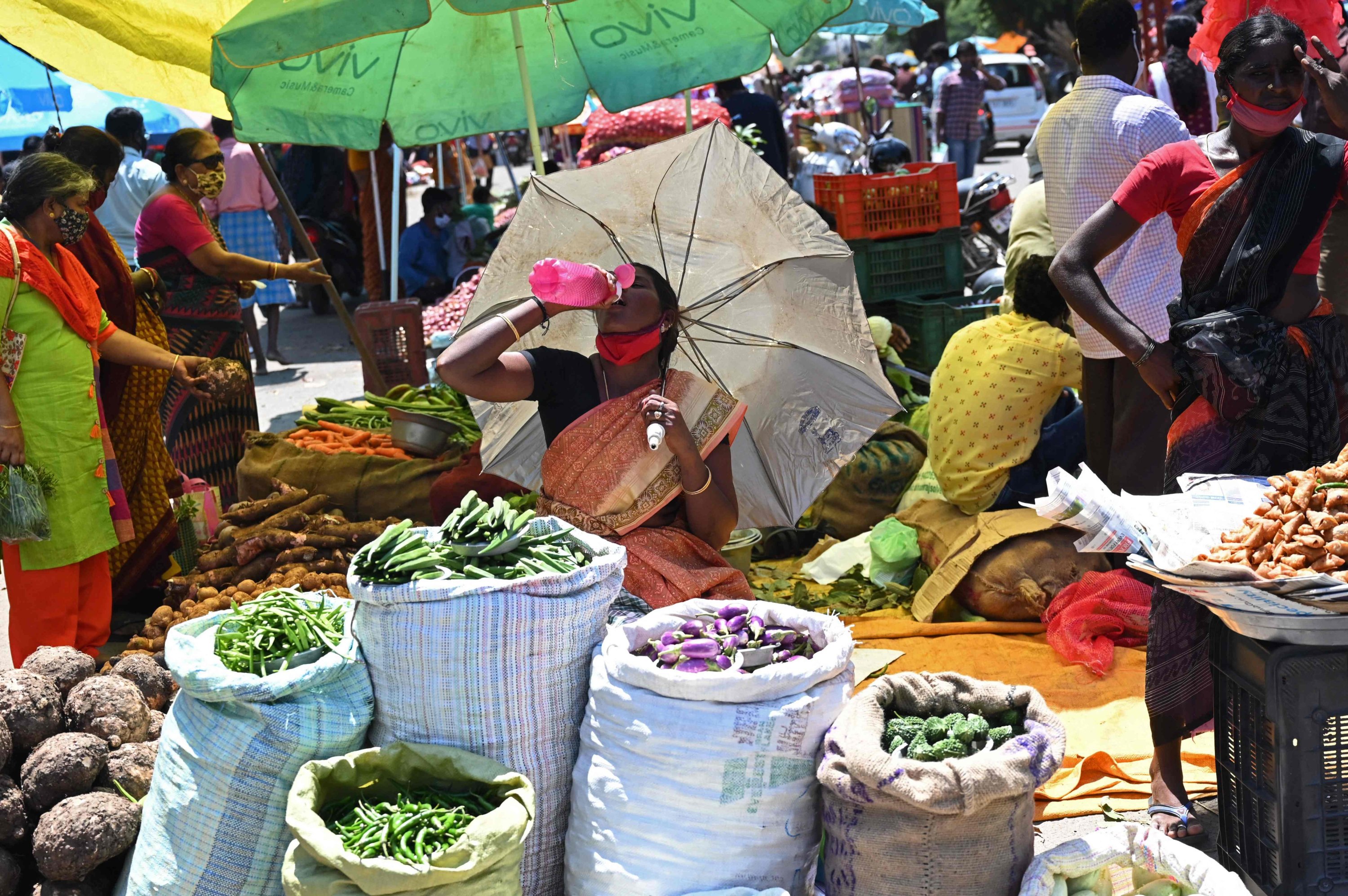 Eylül ayında dünya gıda fiyatları son on yılın en büyük artışını yaptı