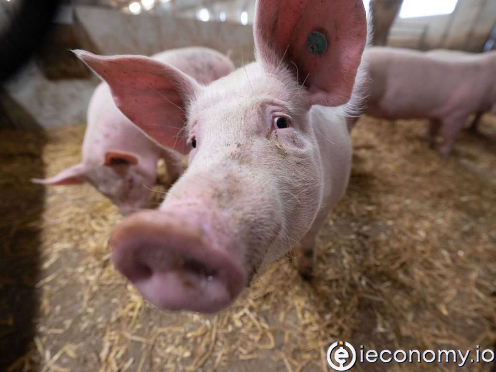 German farmers are preparing for the difficult conditions that will continue