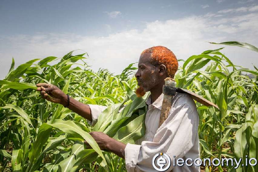 FAO'dan gıda ve yem fiyatı uyarısı