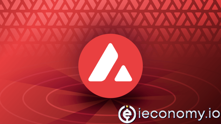 AVAX Geliştiricisi Büyümeye Devam Ediyor