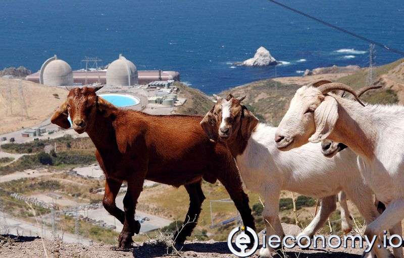 Kaliforniya milletvekilleri nükleer santralin çalışmaya devam etmesi için oy kullandı