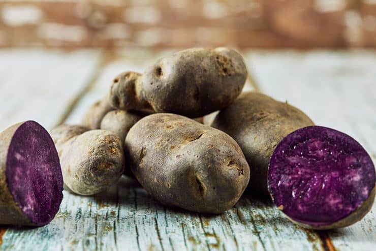 Mor Patatesin İlk Deneme Ekimi Gerçekleşti!