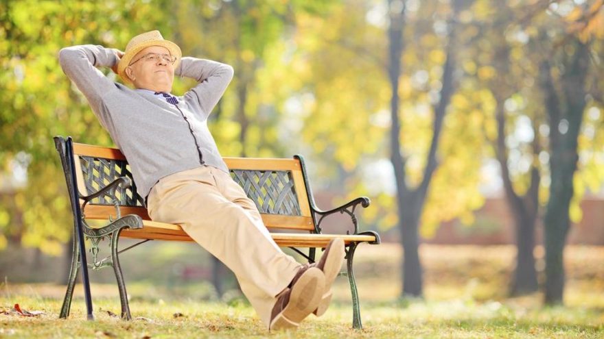 Tamamlayıcı Emeklilik Sistemi (TES) Nedir?