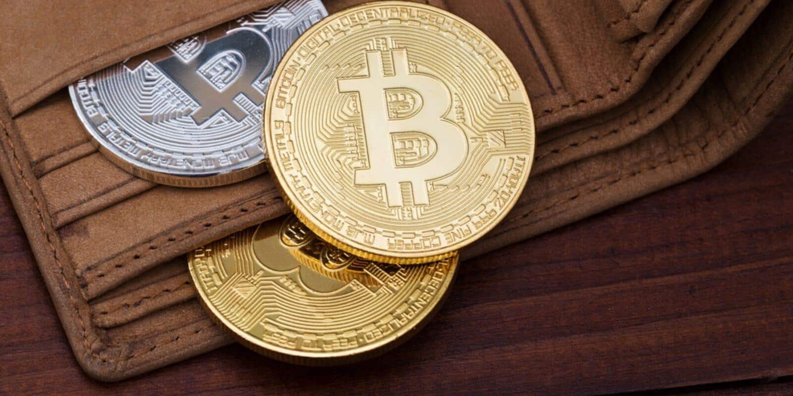 Alles, was Sie über Crypto Wallets wissen wollen!