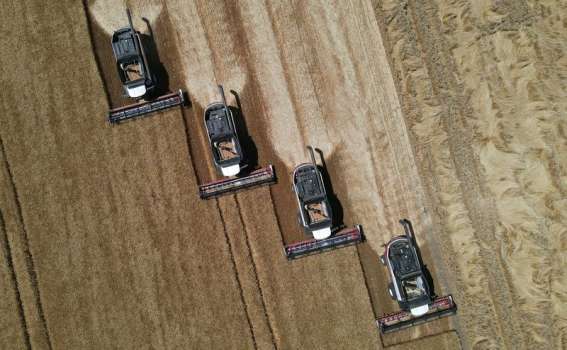 Dünya Gıda Fiyatları 2022'de Rekor Seviyeye Ulaştı