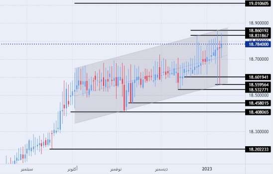 TRY/USD Forex Sinyali: Türkiye Maliye Bakanı'nın Açıklamalarından