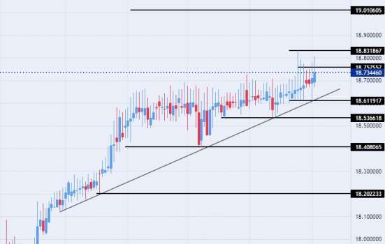USD/TRY Forex Sinyali: Türkiye'de Enflasyon Aralık'ta ki %64,5'e