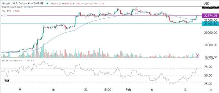BTC/USD Forex Sinyali: 21,460 Muhtemelen Temel Desteğine Geri
