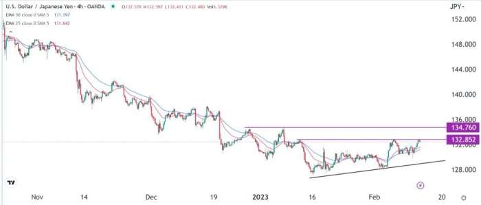 USD/JPY Forex Sinyali: Ortam Oluşursa 134,76'yı Tekrar Test Etmesi