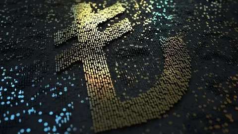 Dijital Türk Lirası ile ilk ödeme yapıldı!