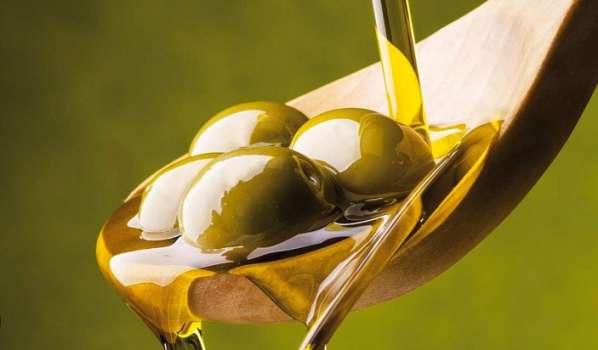 Akdeniz’de Yaşanan Kuraklık Zeytinyağı Fiyatlarını Yükseltti