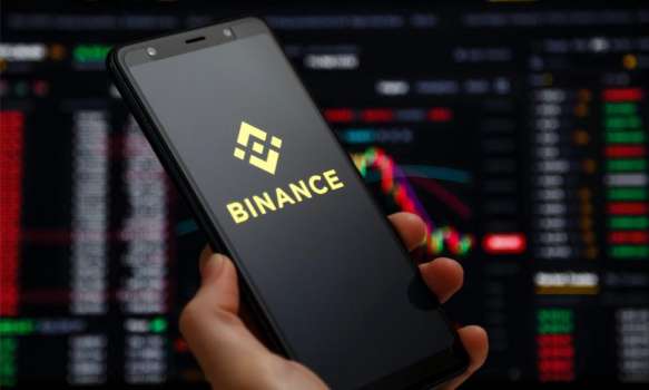 Binance'in Piyasa Payı %20 Düştü