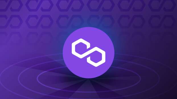 Polygon Ağı Kullanıcı Etkinliğinde Artış Kaydedildi