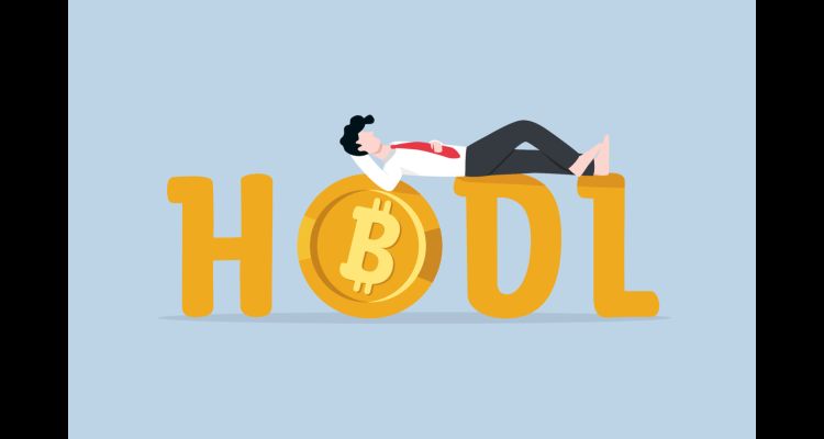 Uzun Vadeli BTC Yatırımcılarının ( HODL ) Sayısı 14,5 Milyonu Aştı!