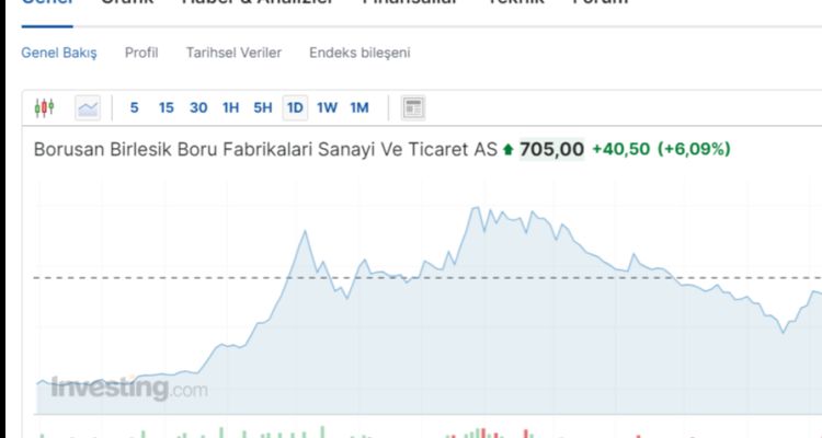 Borusan Birlesik Boru Fabrikalari Sanayi Ve Ticaret AS (BRSAN) Hisse Senedi Analizi ve İncelemesi