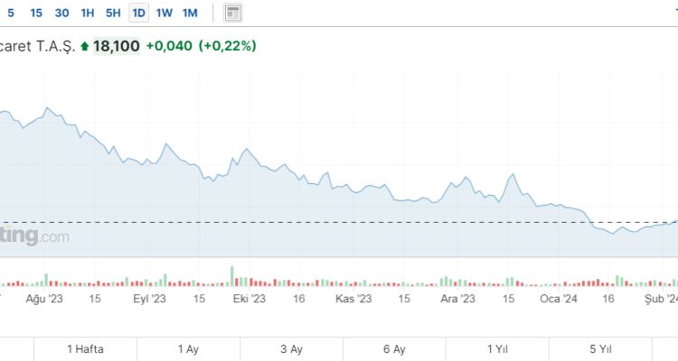 Hektaş Ticaret T.A.Ş. (HEKTS) Hisse Senedi Analizi ve Değerlendirmesi