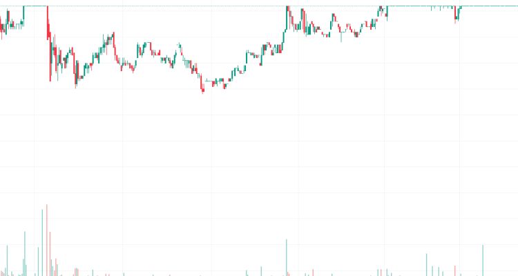 OBASE Bilgisayar ve Danışmanlık Hizmetleri Tic. A.Ş. (OBASE) Hisse Senedi