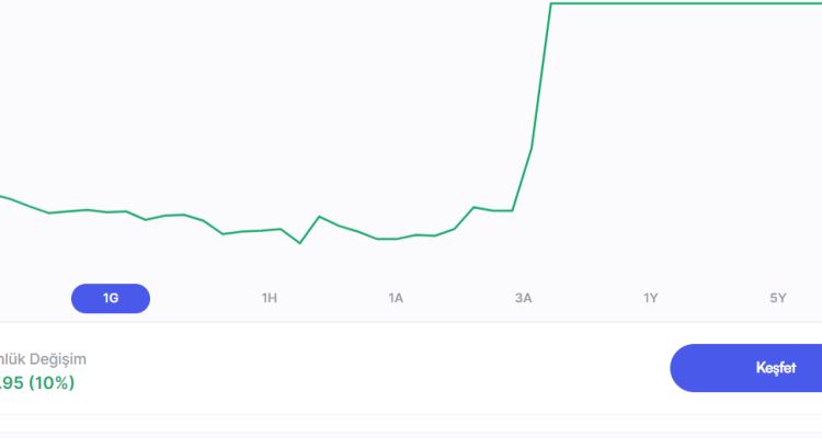SARAY MATBAACILIK KAĞITÇILIK KIRTASİYECİLİK TİCARET VE SANAYİ A.Ş. (SAMAT)