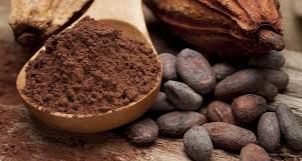 Kakao Fiyatı Verilerinde Düşüş: Arz Fazlası Endişesi