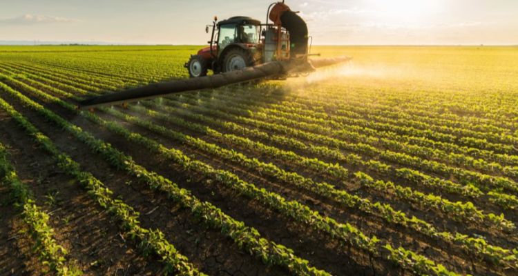 Tarım Emtia Borsası: Yatırımcıların Radarındaki Fiyatlar